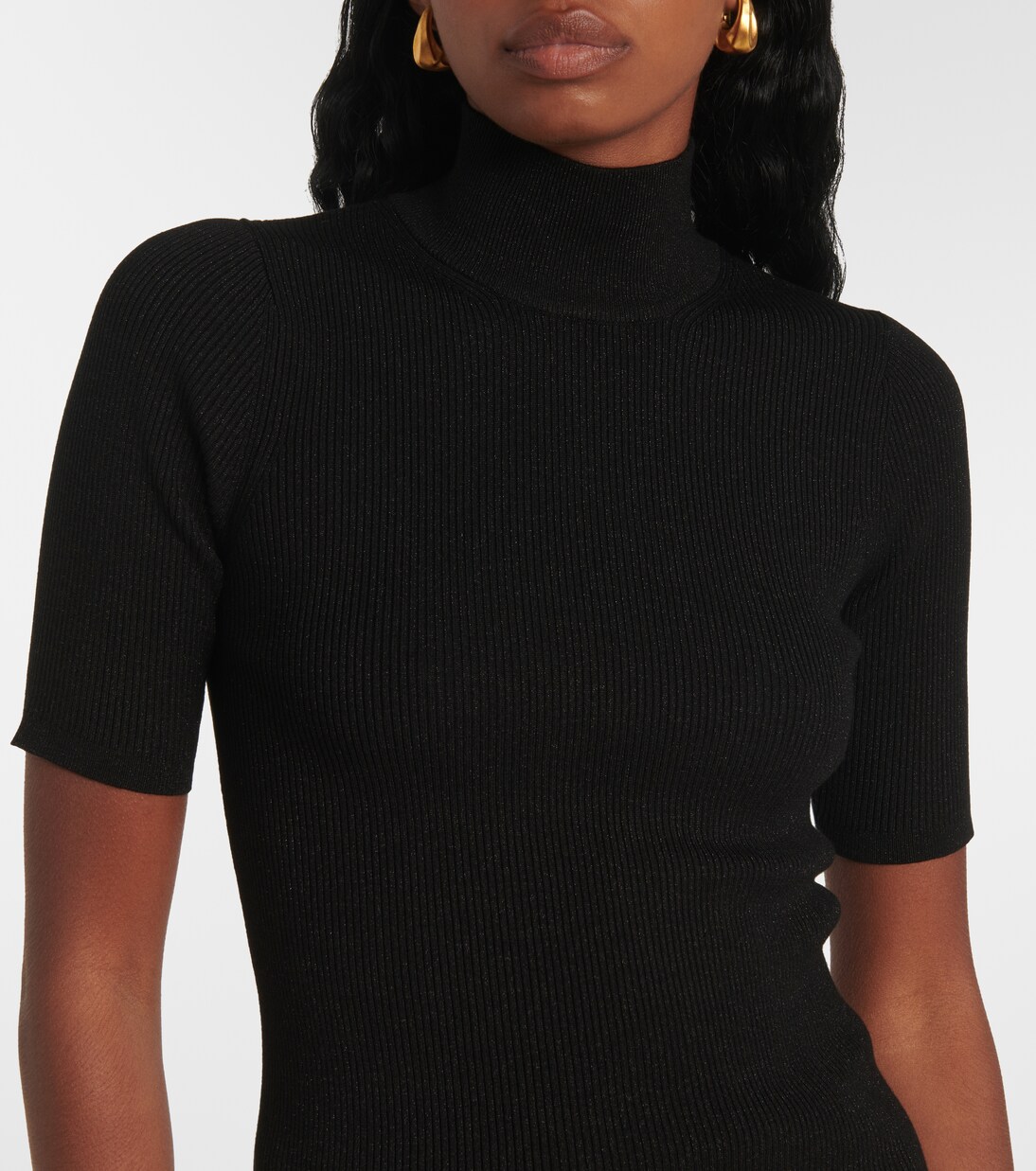 Rollkragenpullover Alce | Max Mara