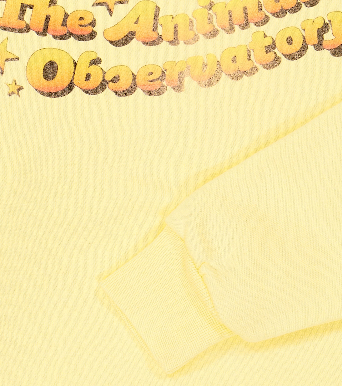 Bear cotton jersey sweatshirt | The Animals Observatory