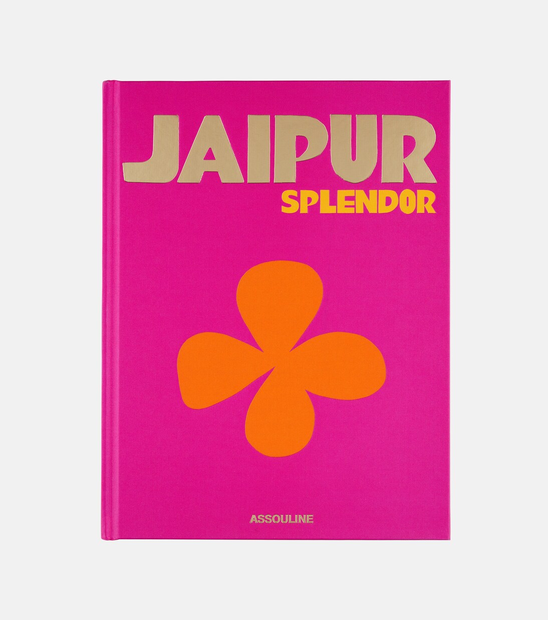 Jaipur Splendor book | Assouline
