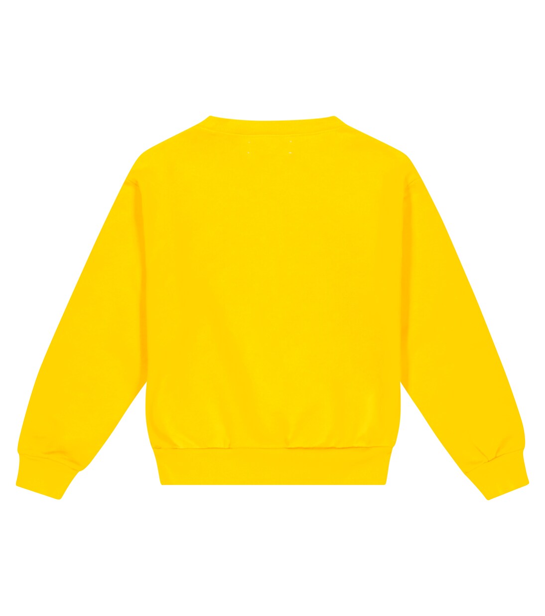 Bear cotton sweatshirt | The Animals Observatory