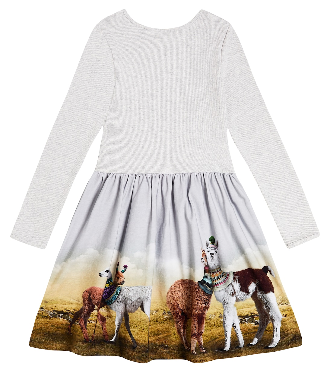 Credence printed cotton-blend jersey dress | Molo