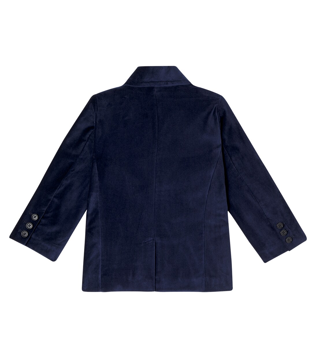 Hieronymus cotton velvet blazer  | Molo