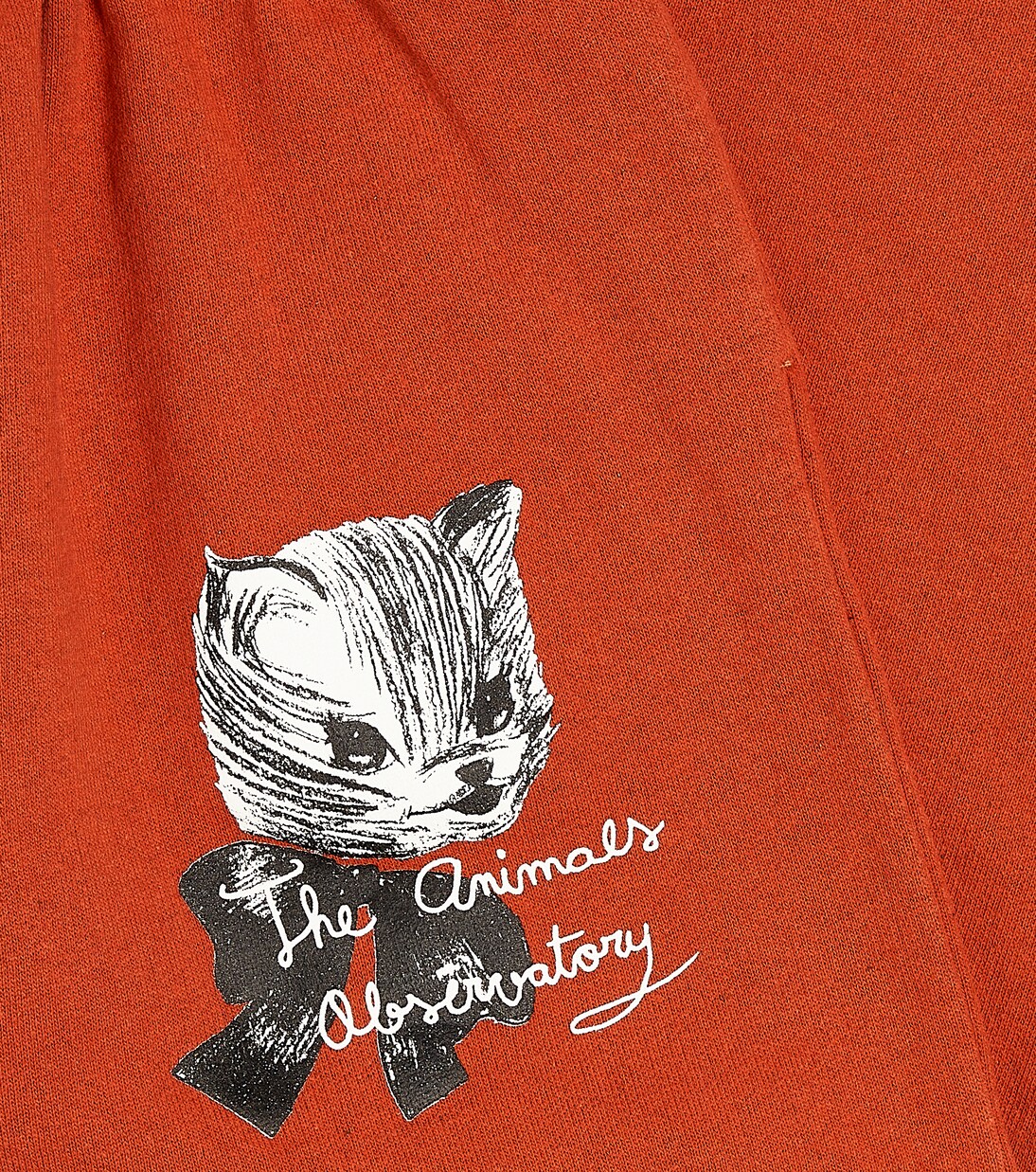 Jogginghose Cameleon aus Baumwolle | The Animals Observatory