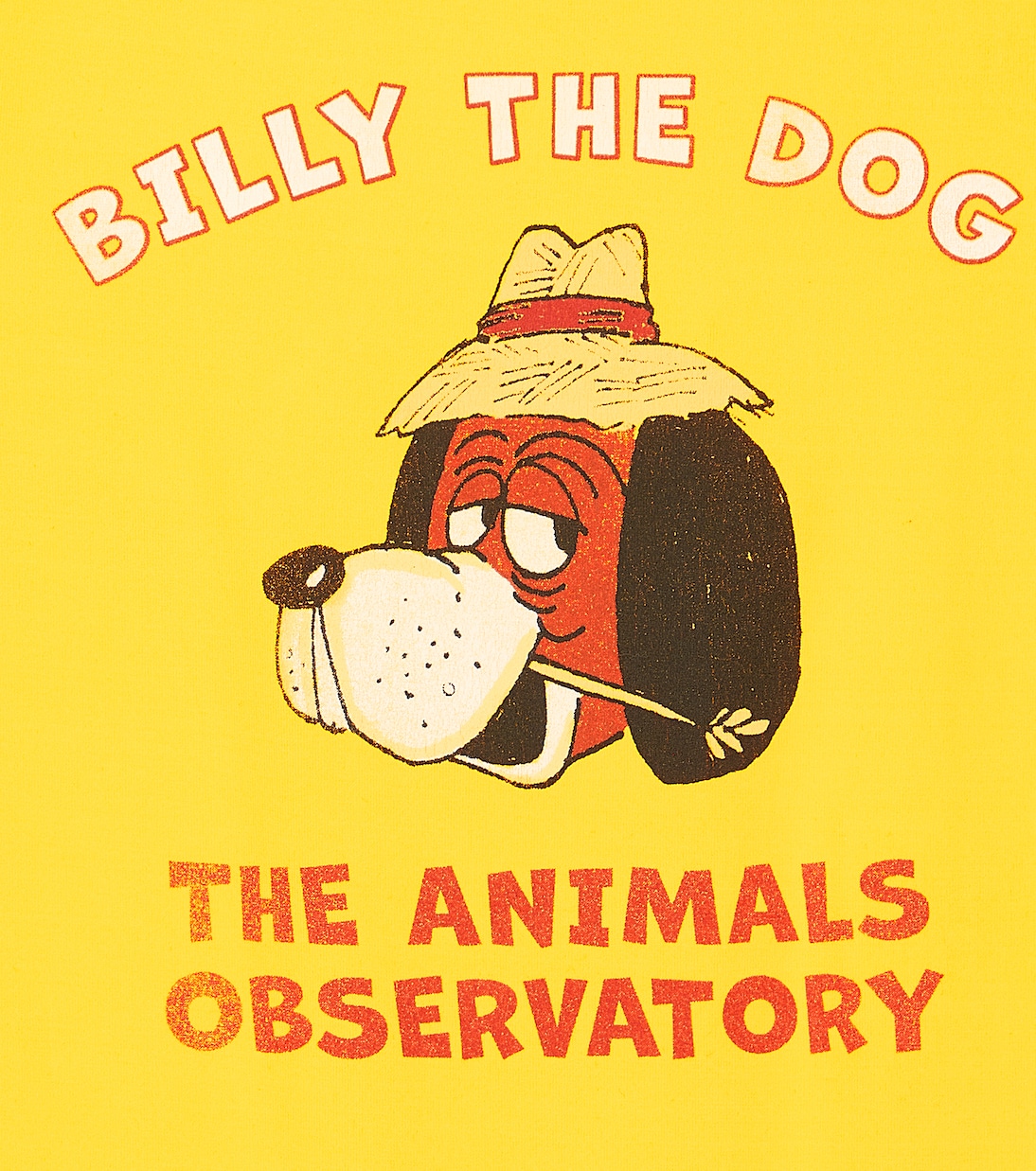 Octopus printed swimsuit | The Animals Observatory