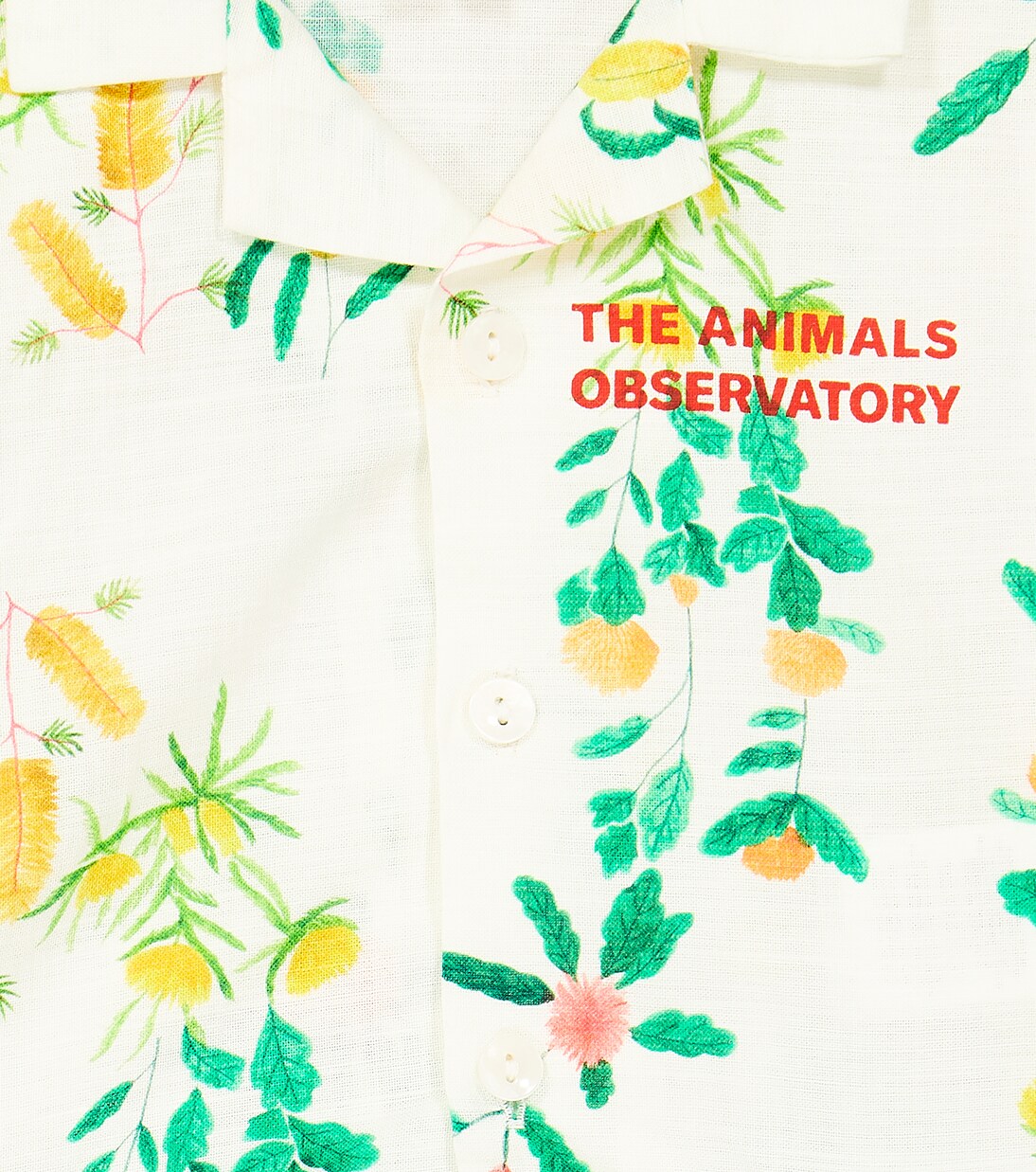 Bebé - set Magpie de camisa y shorts | The Animals Observatory