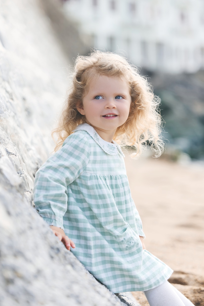 Baby embroidered gingham cotton dress | Tartine et Chocolat