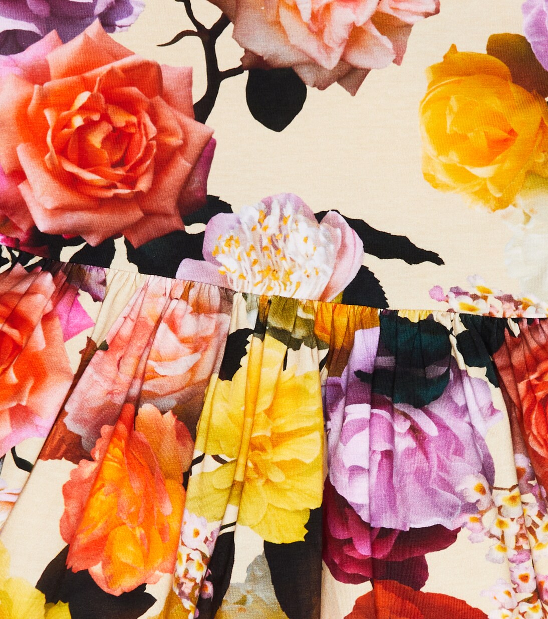 Chasity floral velvet dress | Molo