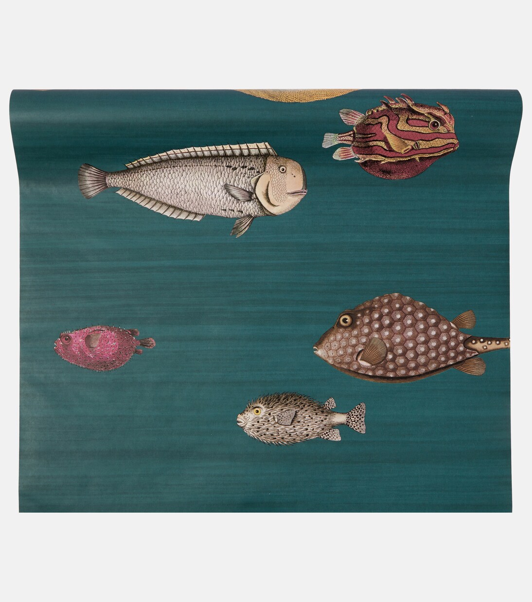 x Cole & Son papel pintado Acquario | Fornasetti