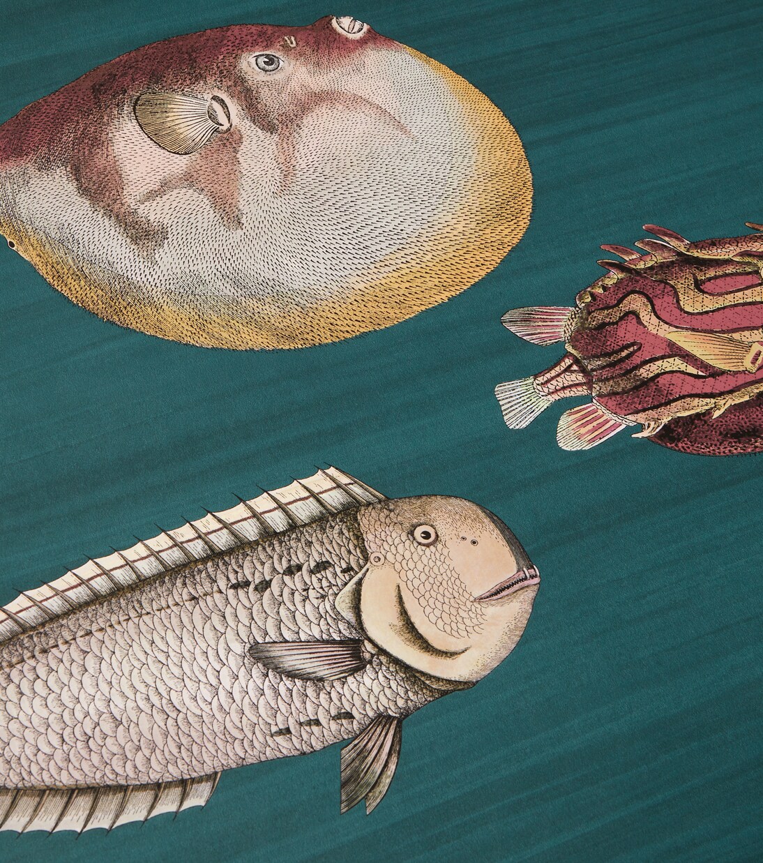 x Cole & Son papel pintado Acquario | Fornasetti