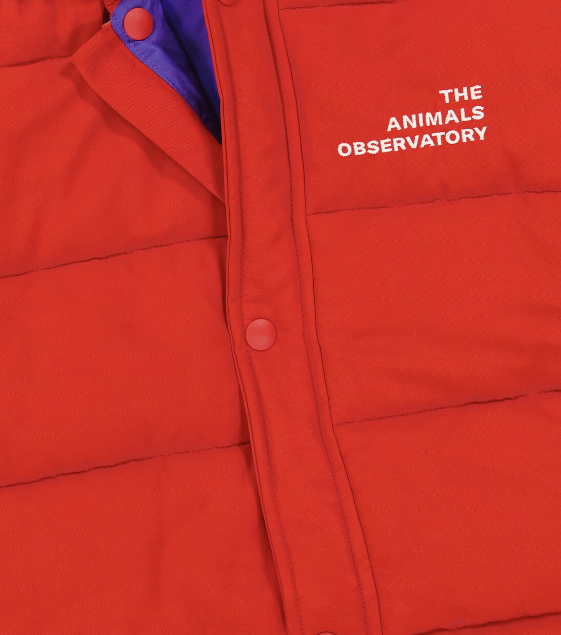 Baby Schneeanzug Bumblebee | The Animals Observatory