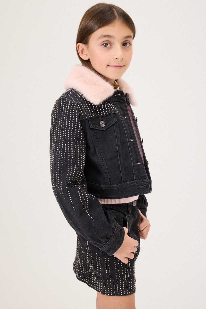 Picture 5 out of 5