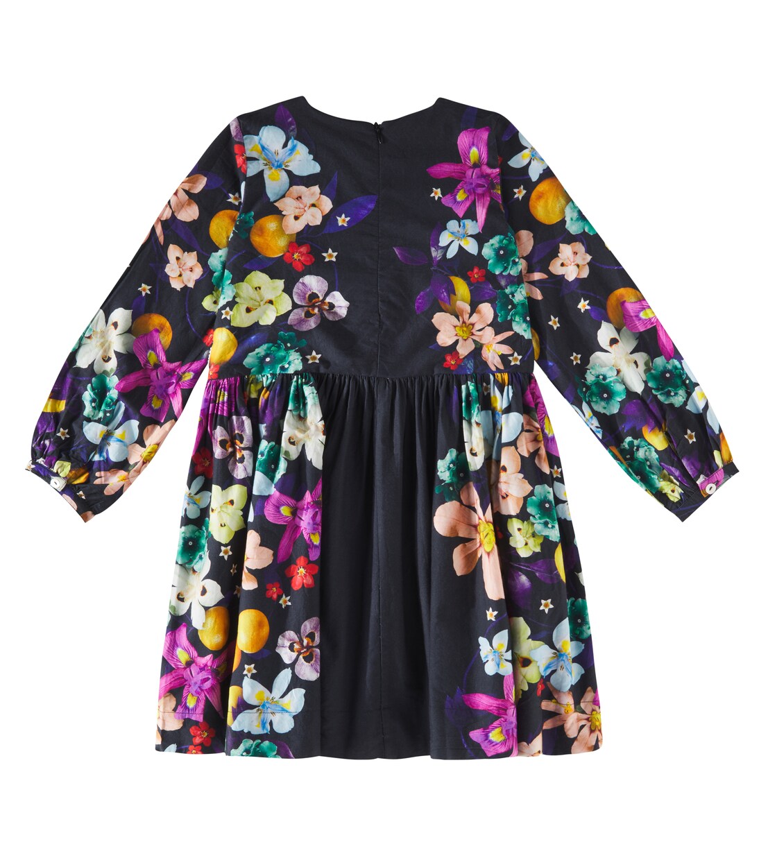 Robe Como en coton à fleurs | Molo