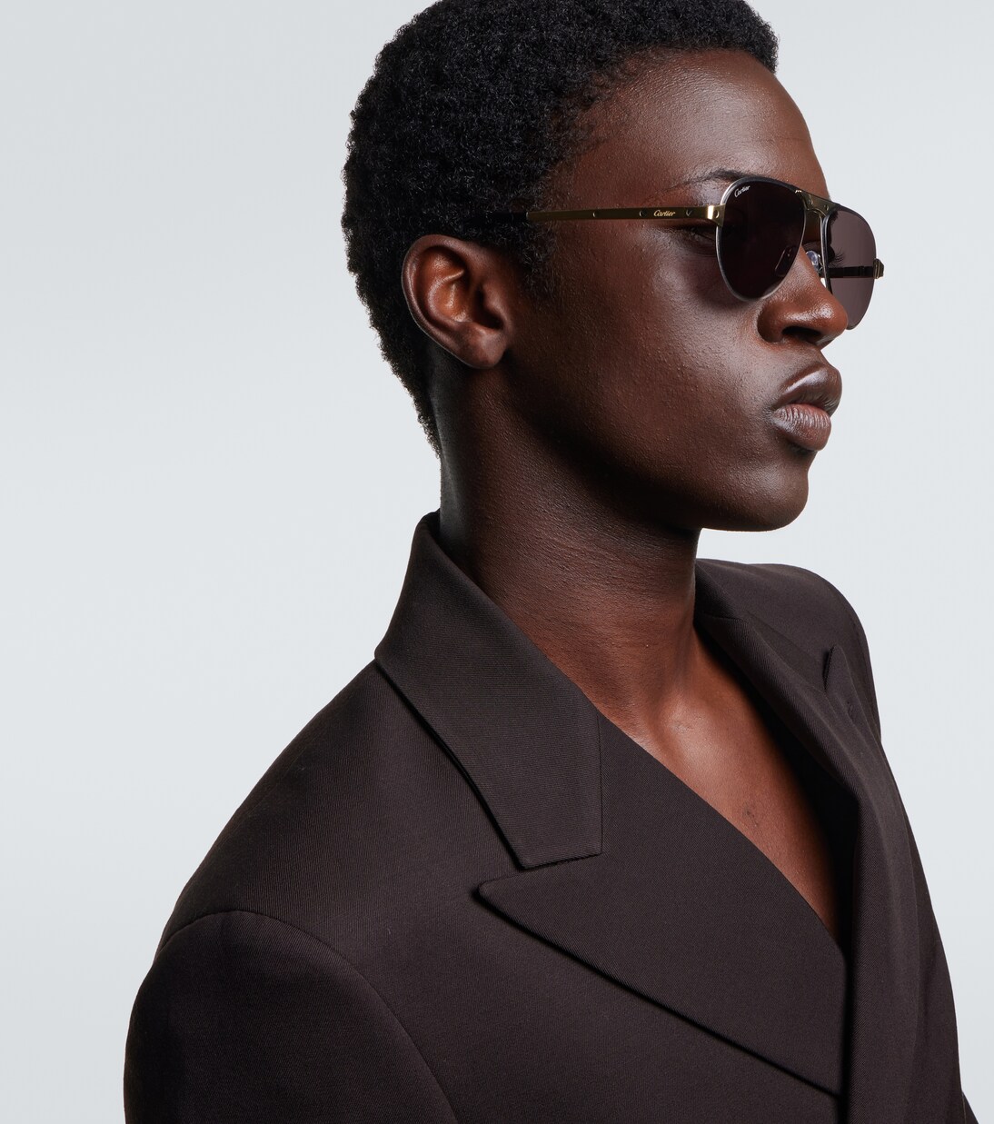Santos De Cartier aviator sunglasses | Cartier Eyewear Collection