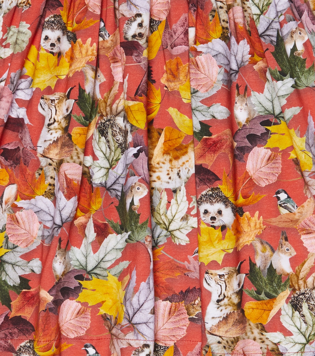 Cami floral cotton dress | Molo