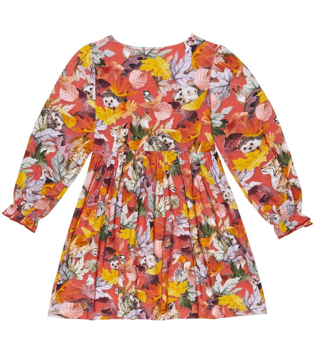 Cami floral cotton dress | Molo