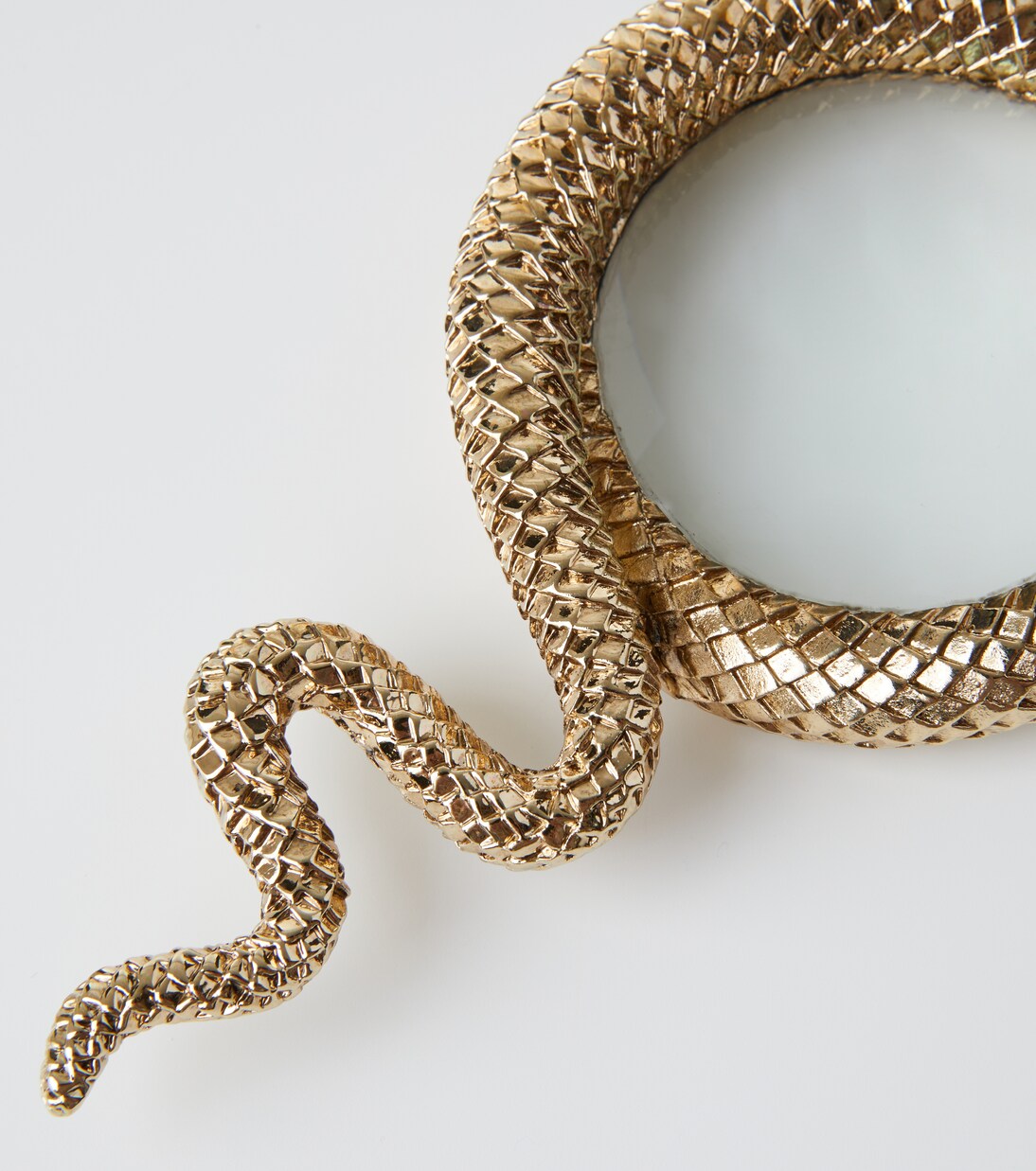 Snake magnifying glass | L'Objet