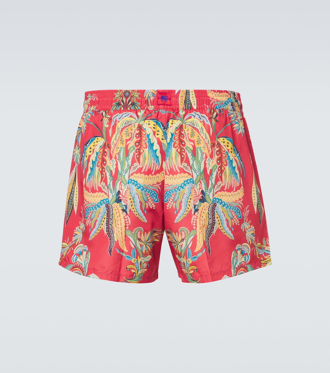 印花泳裤 | Etro