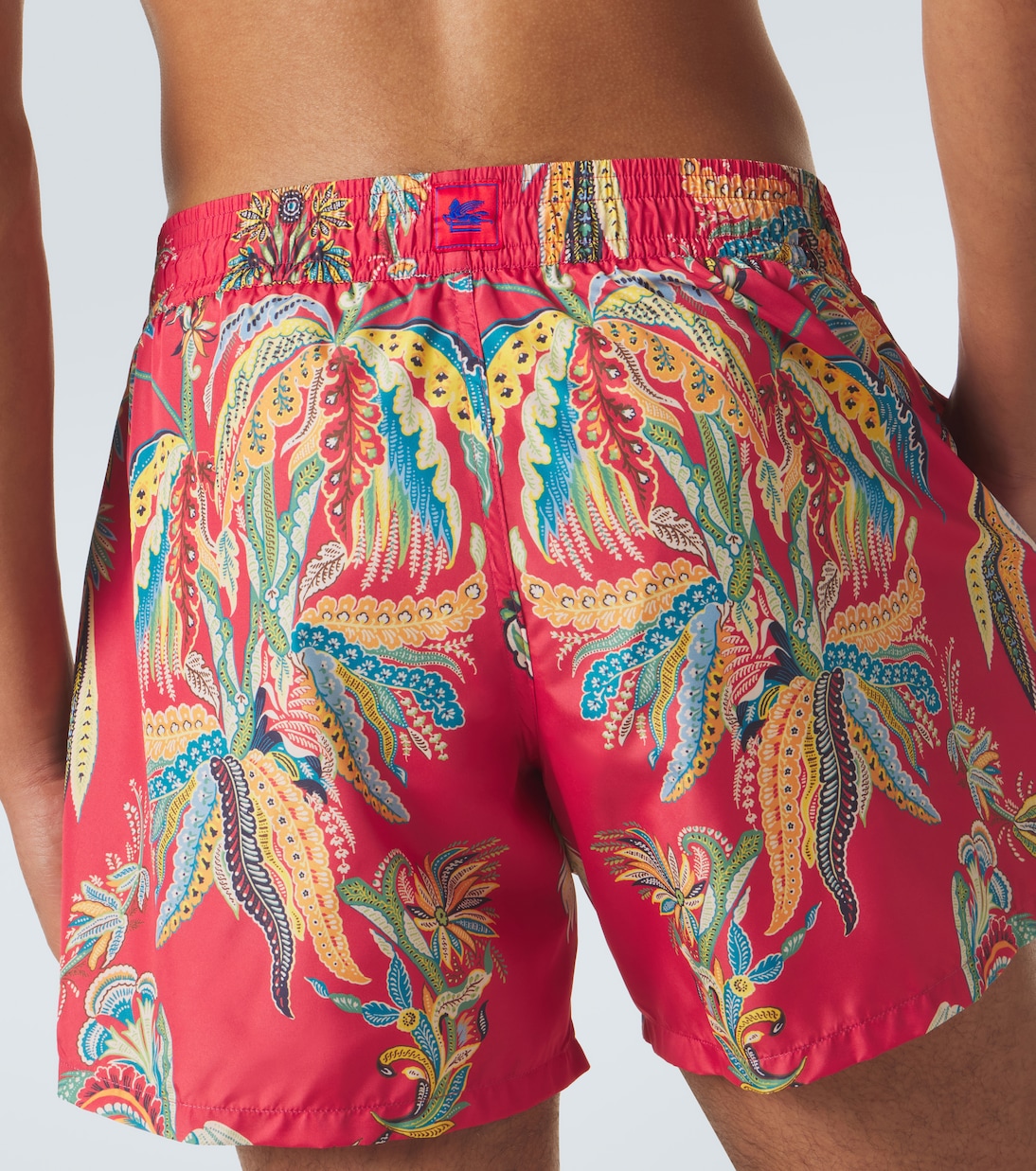Printed swim trunks | Etro