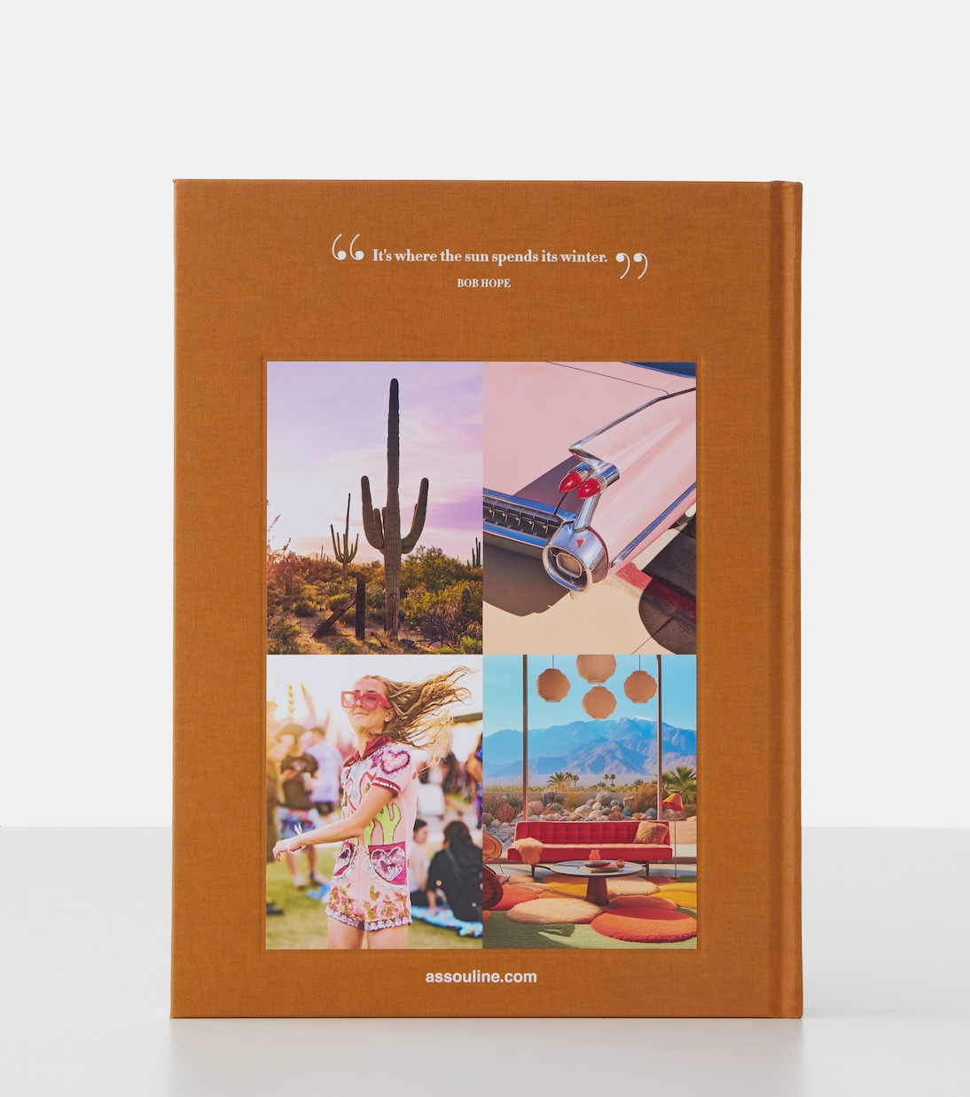 Palm Springs book | Assouline