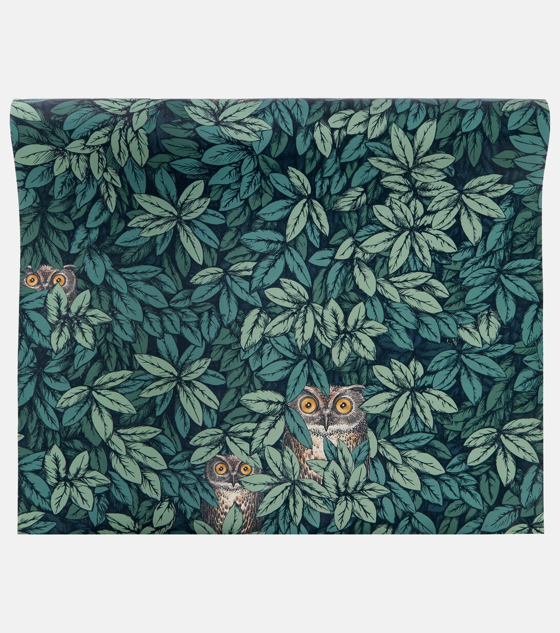 X Cole & Son Tapete Foglie e Civette | Fornasetti