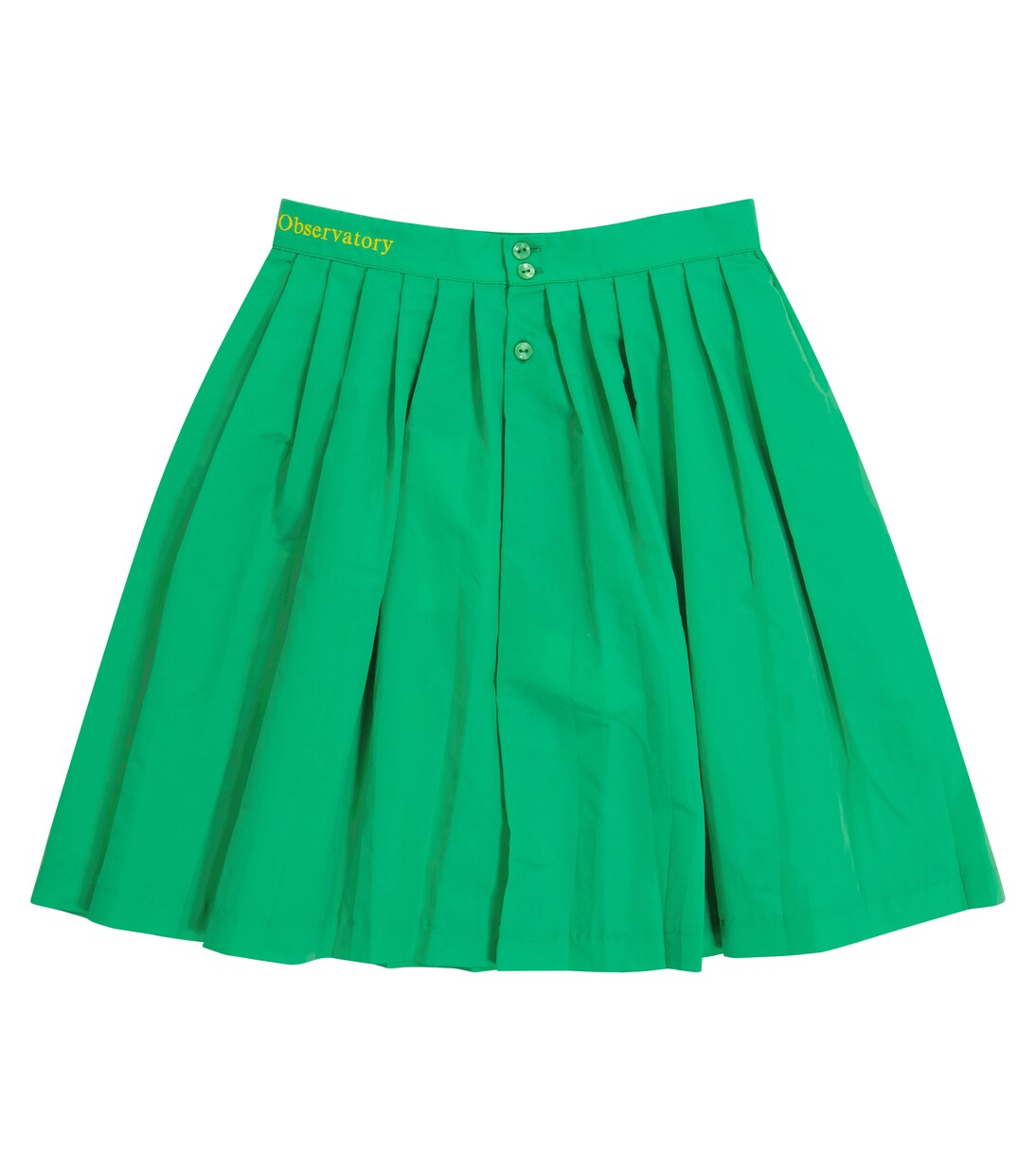 Jupe Cat | The Animals Observatory