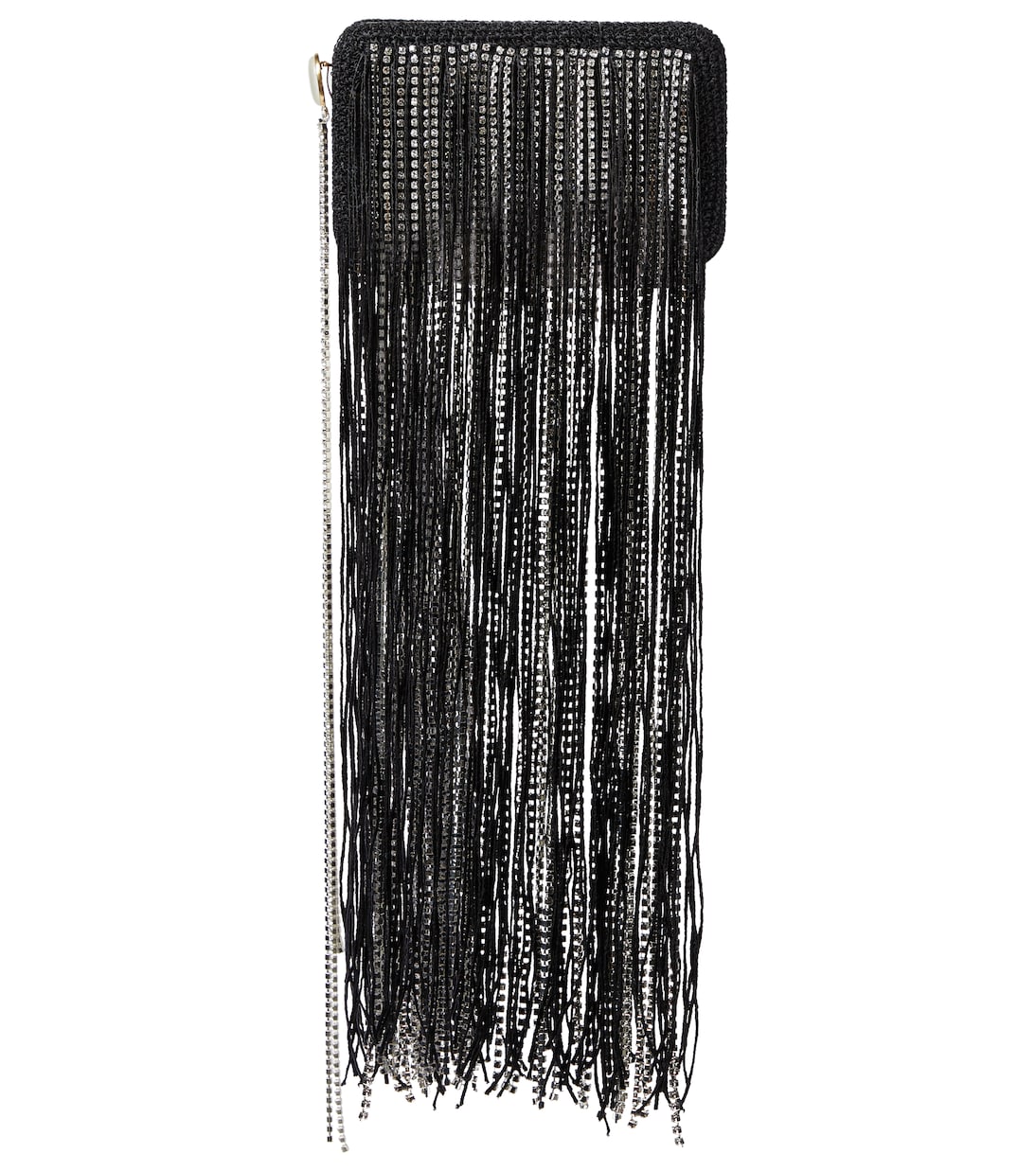 Lelia Mini embellished fringed clutch | Magda Butrym