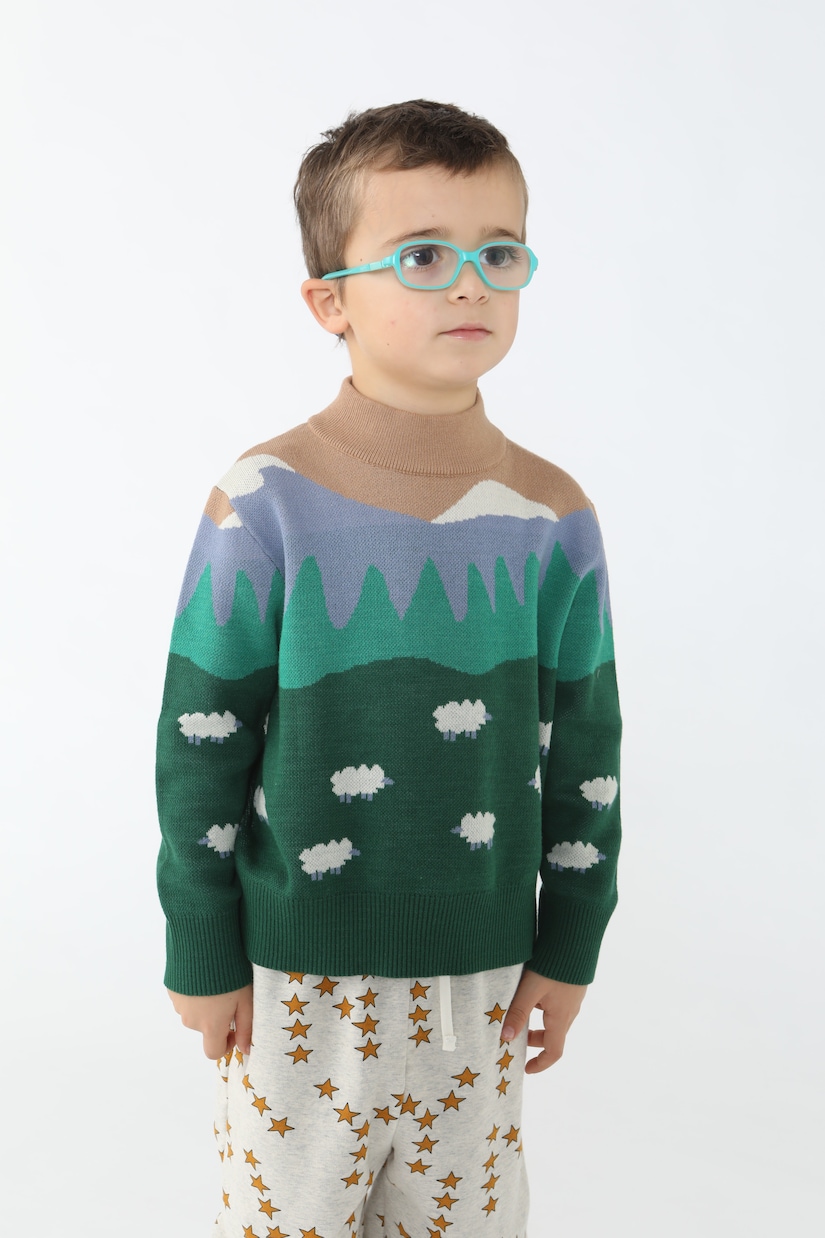 Pullover Chamonix aus Baumwolle und Wolle | Tinycottons