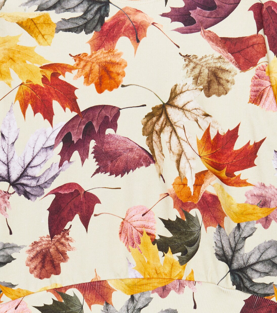 Pull Marika imprimé en coton | Molo