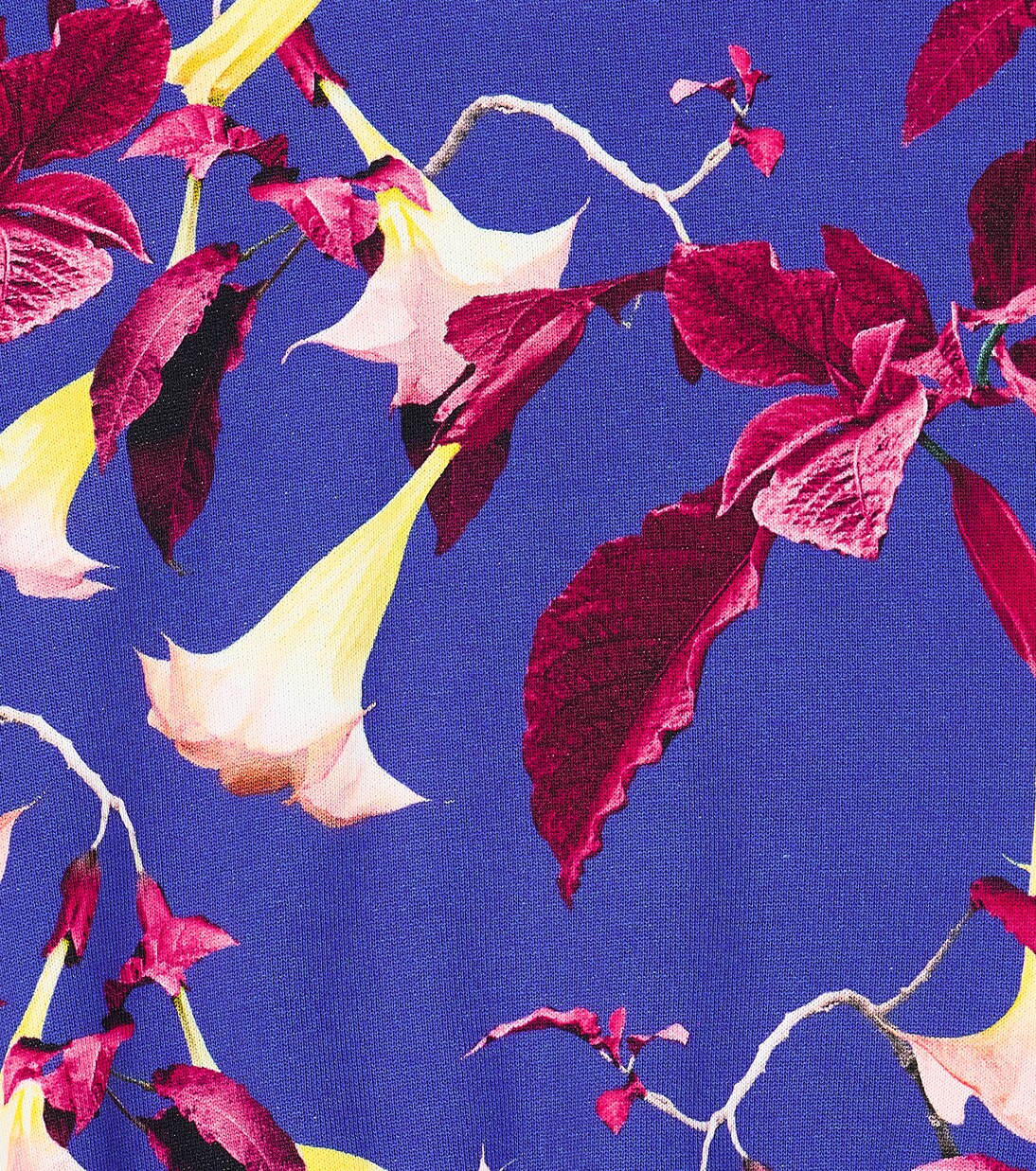 Sweat-shirt Marge en coton à fleurs | Molo