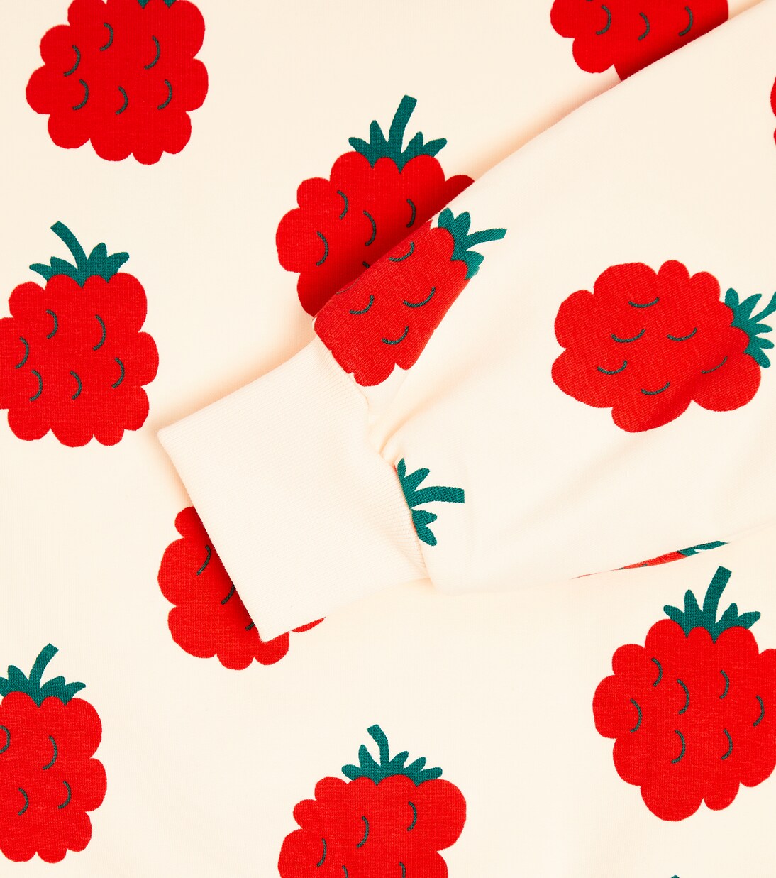 Raspberries cotton jersey sweatshirt | Tinycottons