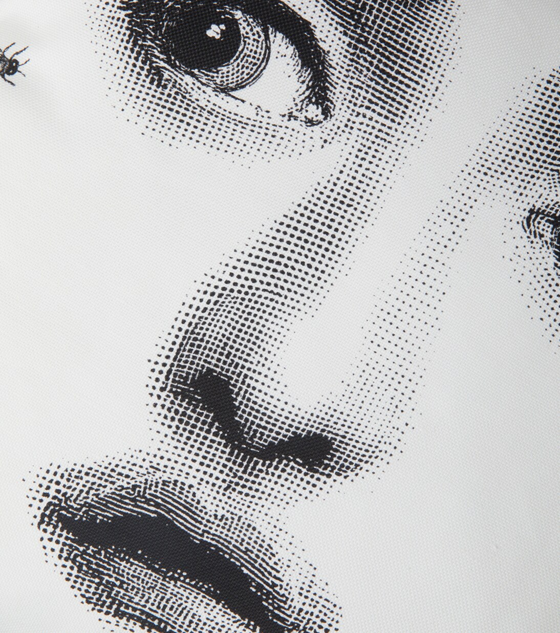 Tema E Variazioni Ape cushion | Fornasetti