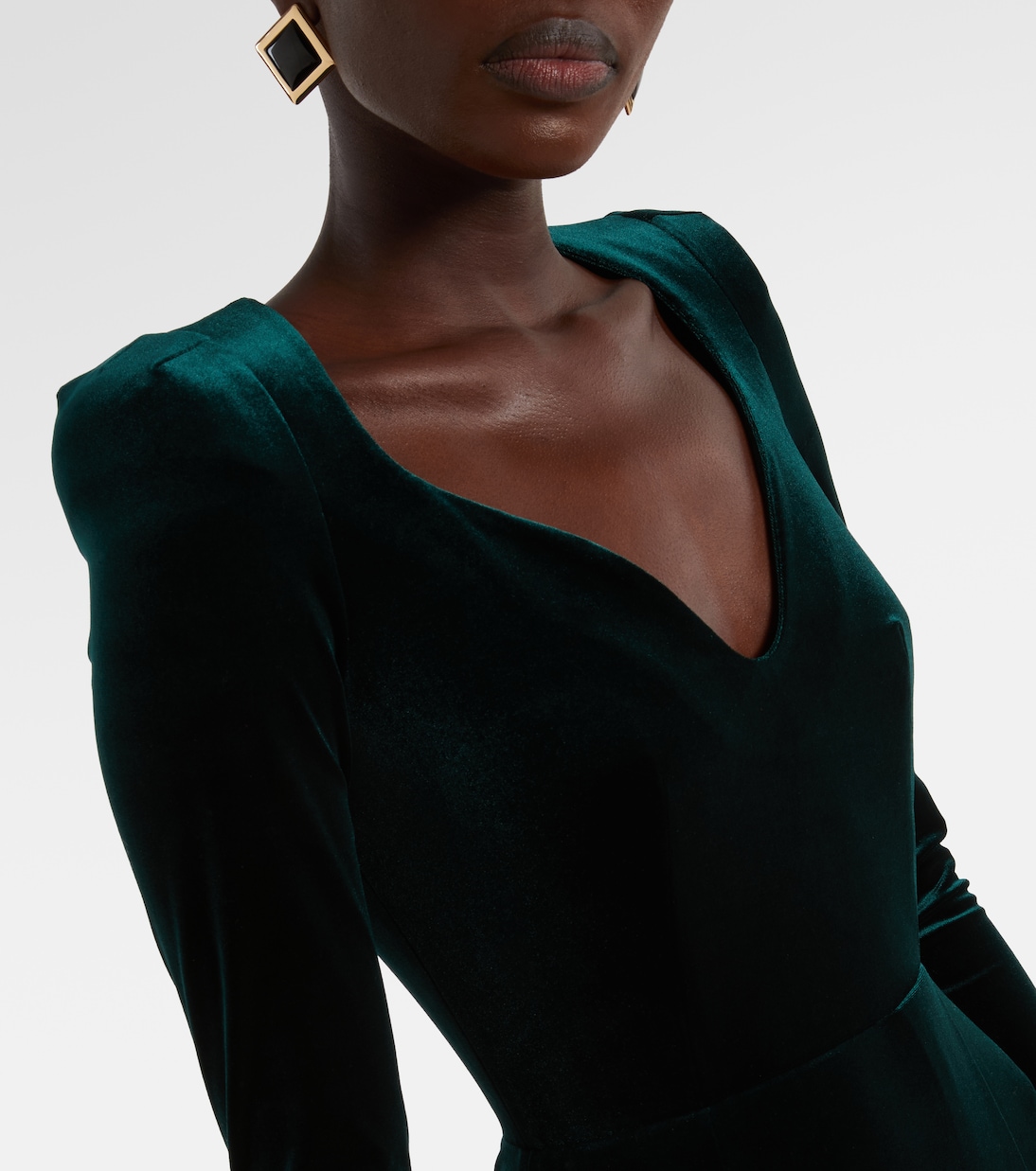 Vanitas velvet gown | Galvan