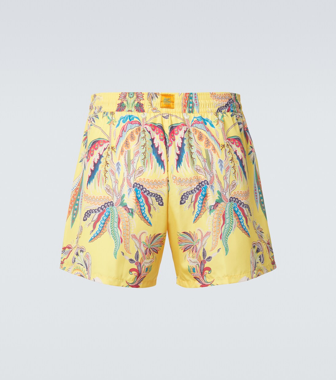 Printed swim trunks | Etro