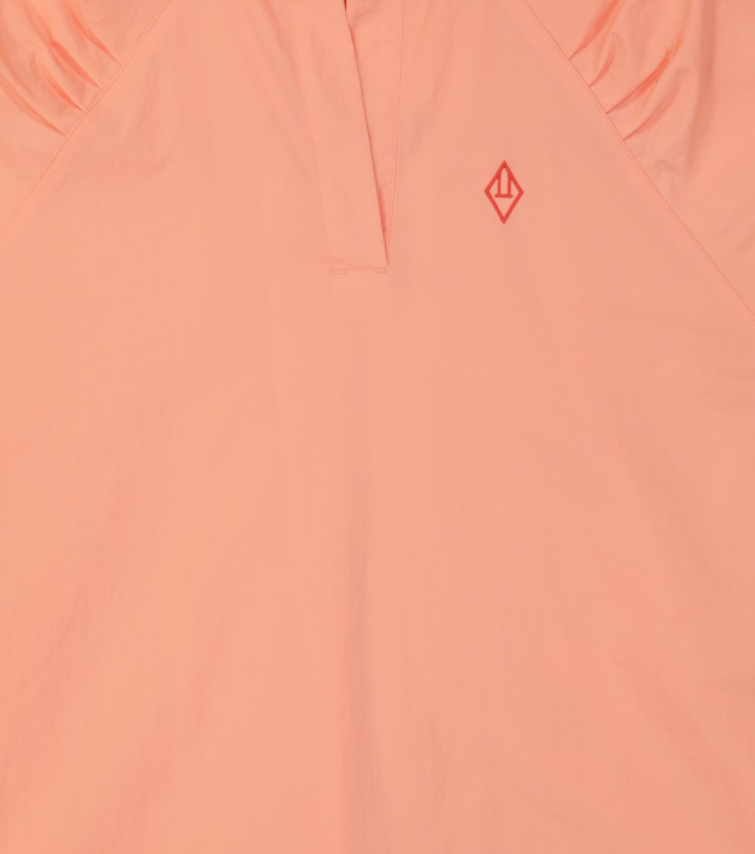 Robe Swallow | The Animals Observatory