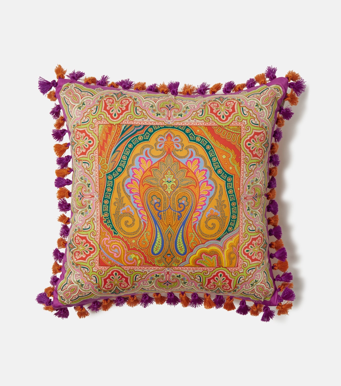 Pegaso paisley cotton cushion | Etro