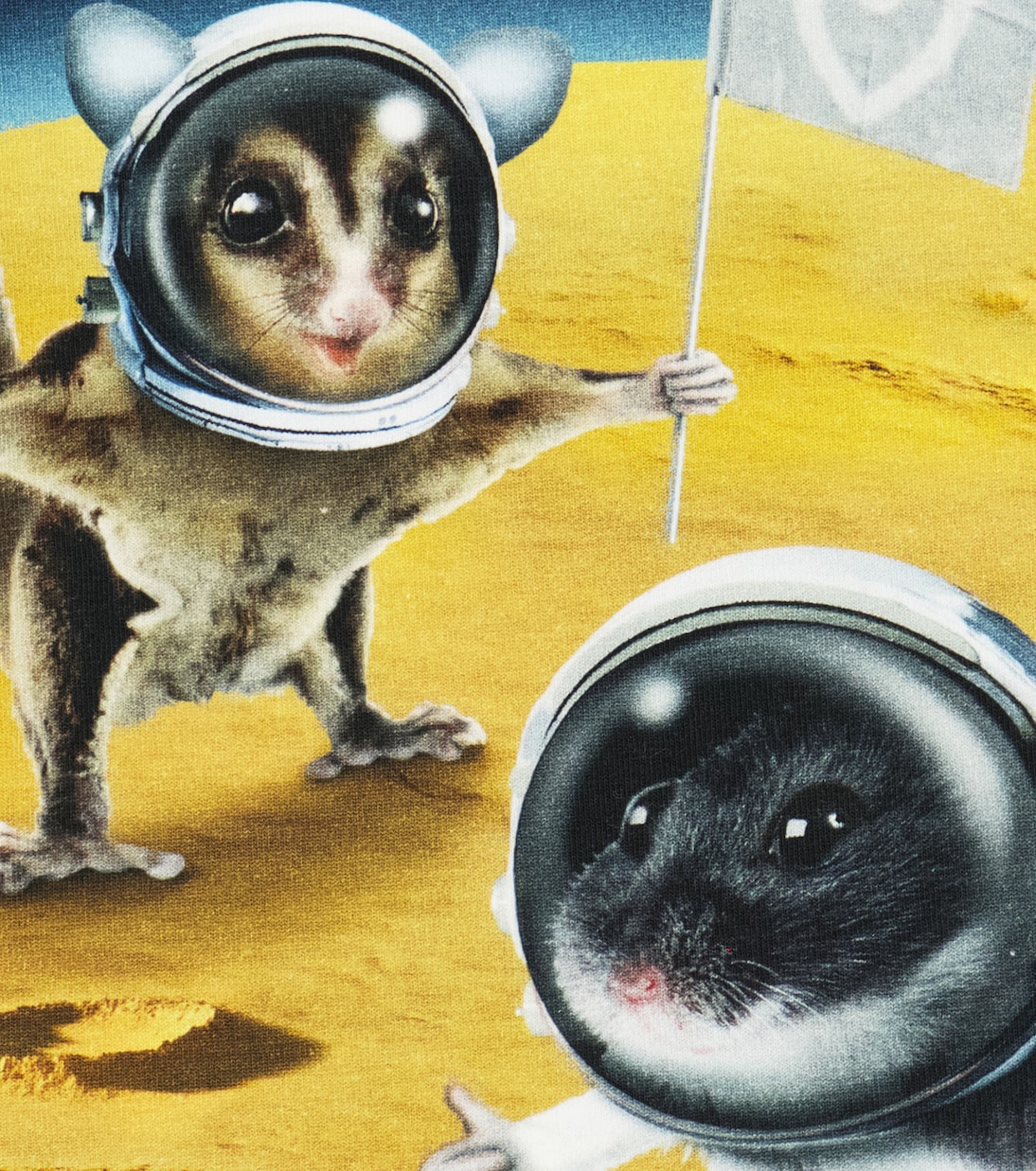 Baby Eloy printed cotton-blend sweatshirt | Molo