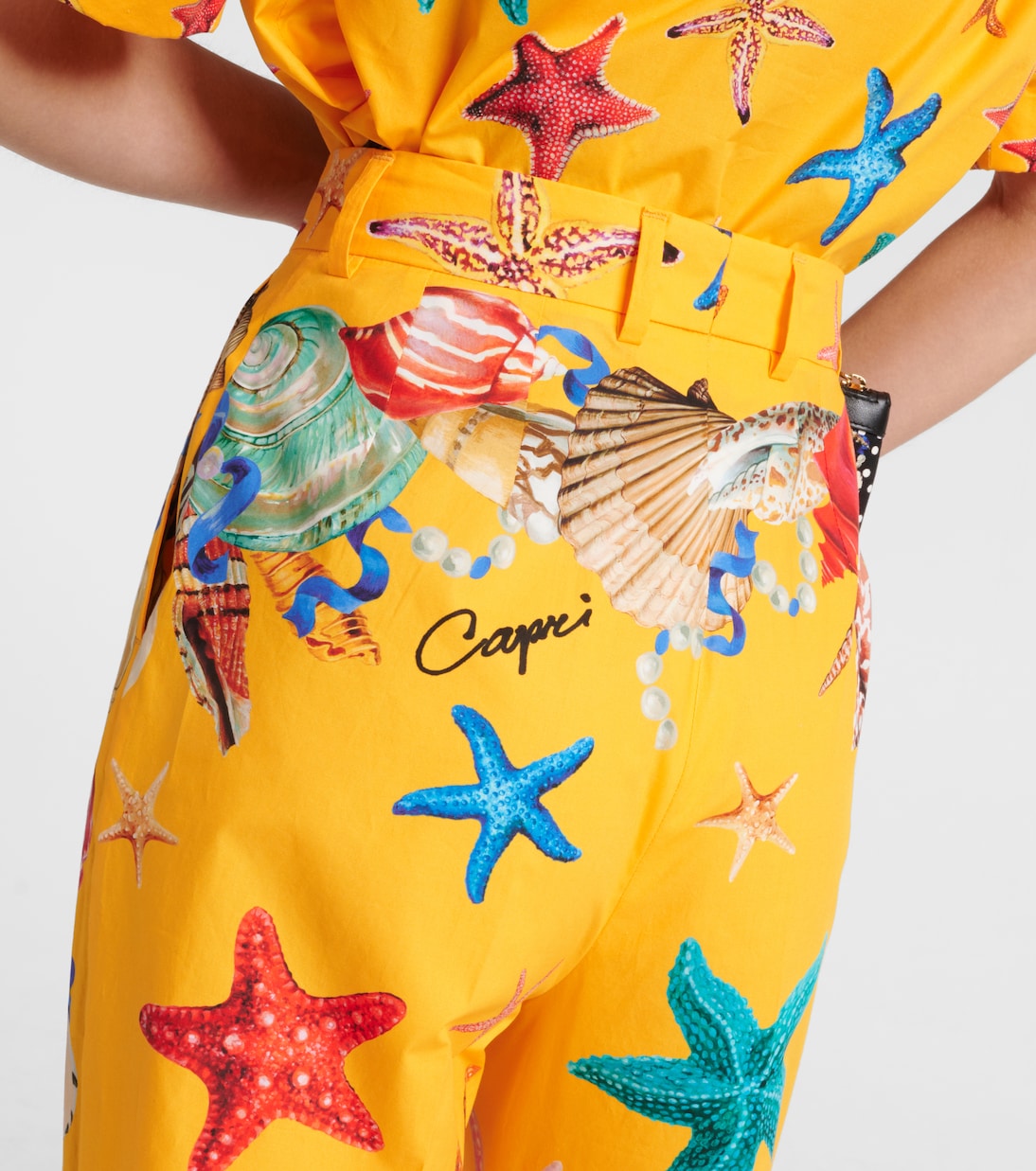 Bedruckte High-Rise-Hose Capri aus Baumwolle | Dolce&Gabbana