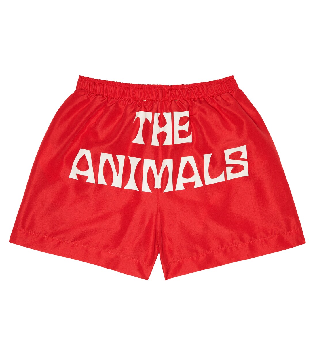 Puppy swimming shorts | The Animals Observatory