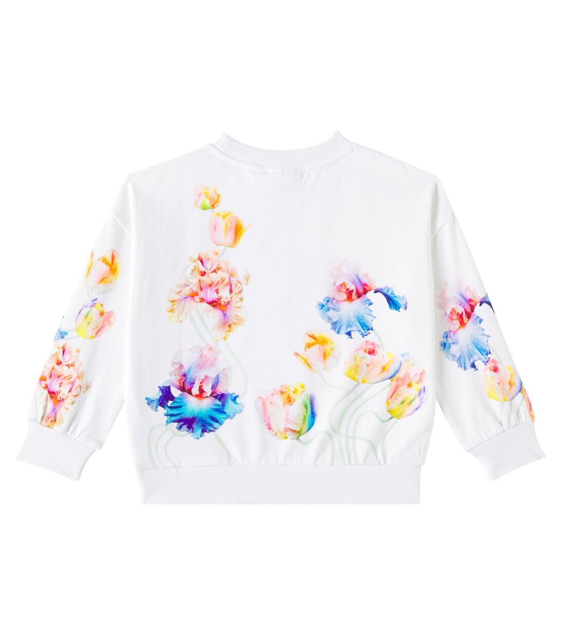 Maxi cotton sweatshirt | Molo