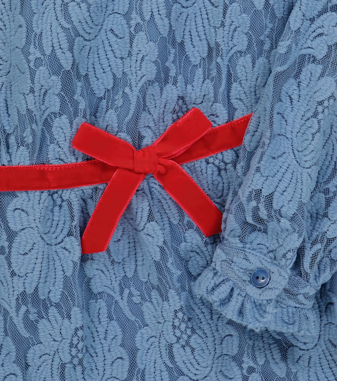 Robe Dolphin en dentelle | The Animals Observatory