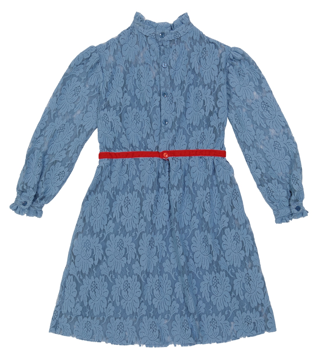 Robe Dolphin en dentelle | The Animals Observatory