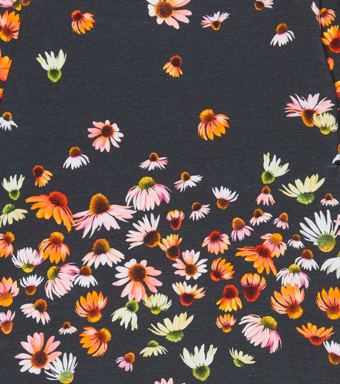 Raina floral cotton-blend jersey top | Molo