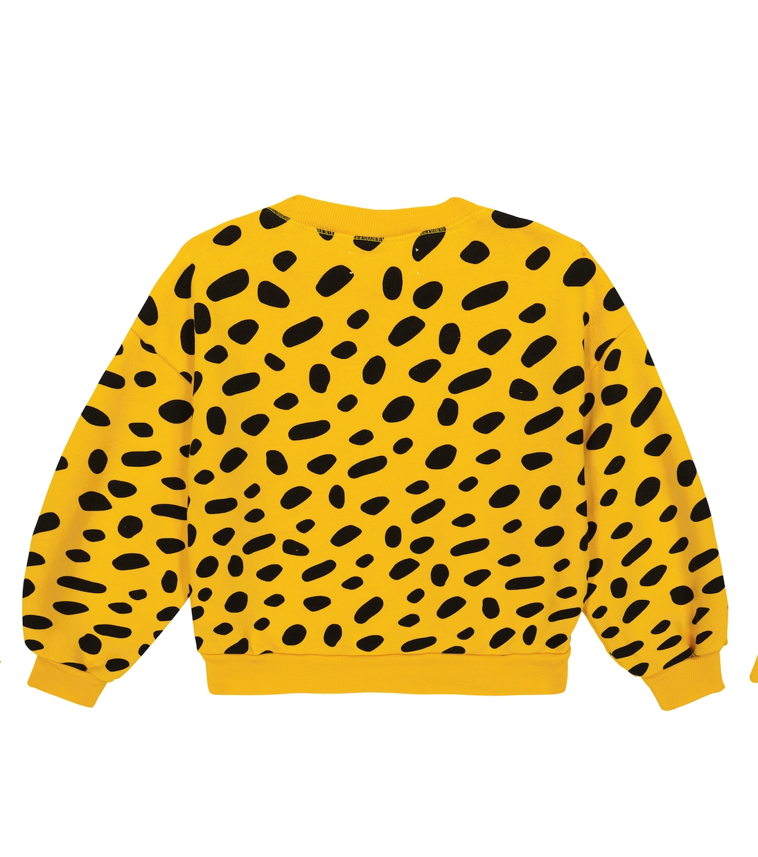 Sweatshirt Bear aus Baumwolle | The Animals Observatory