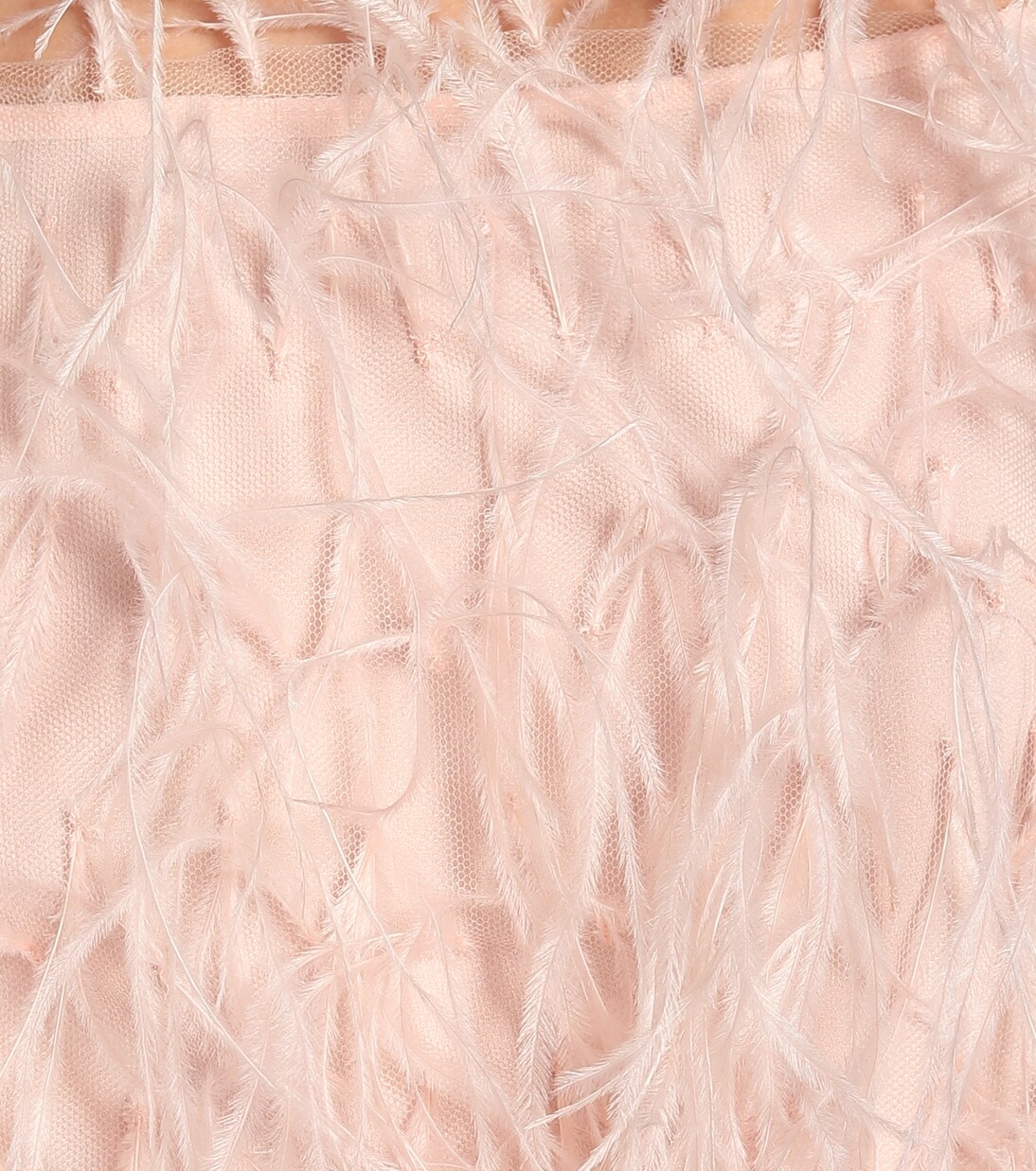 Feather-trimmed tulle minidress | Monique Lhuillier