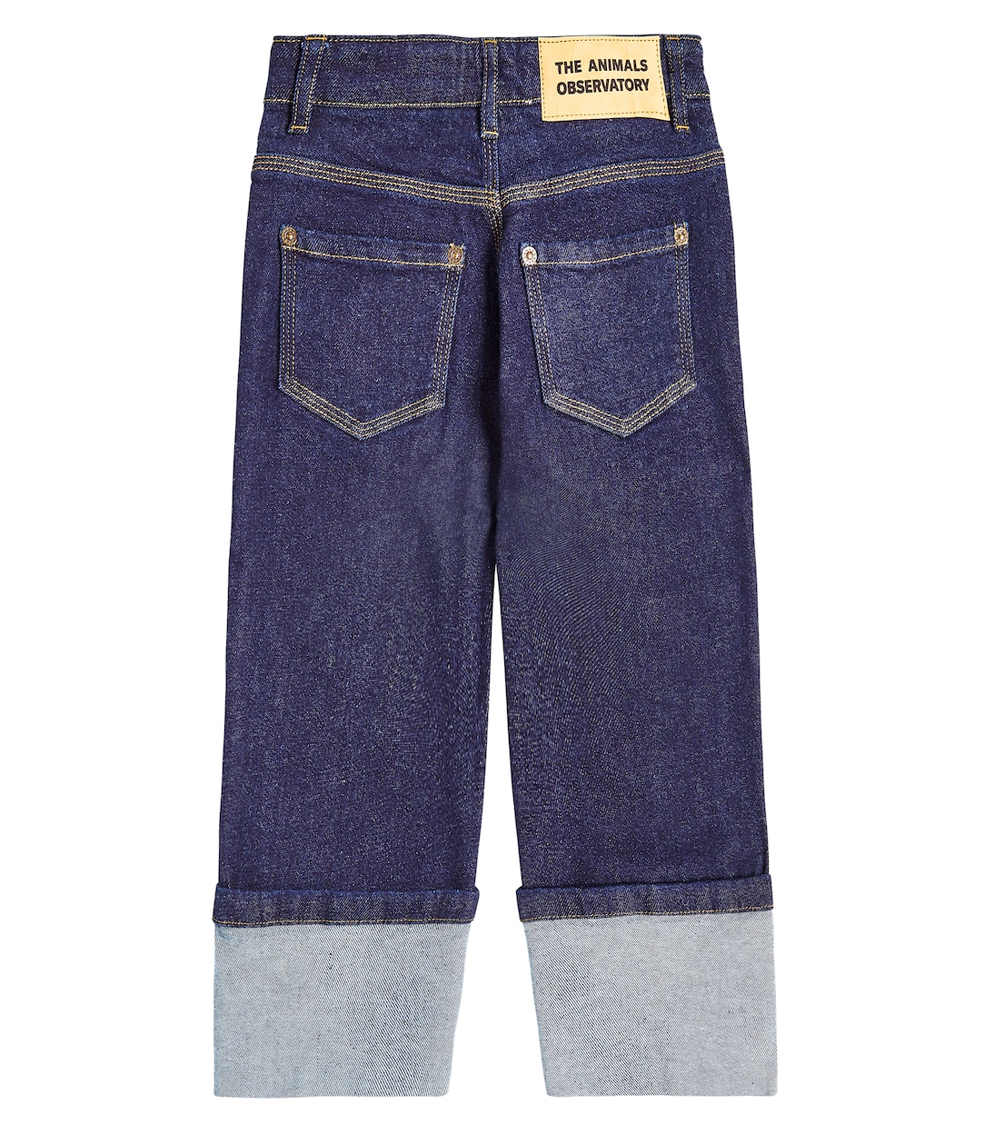 Ant 진 | The Animals Observatory