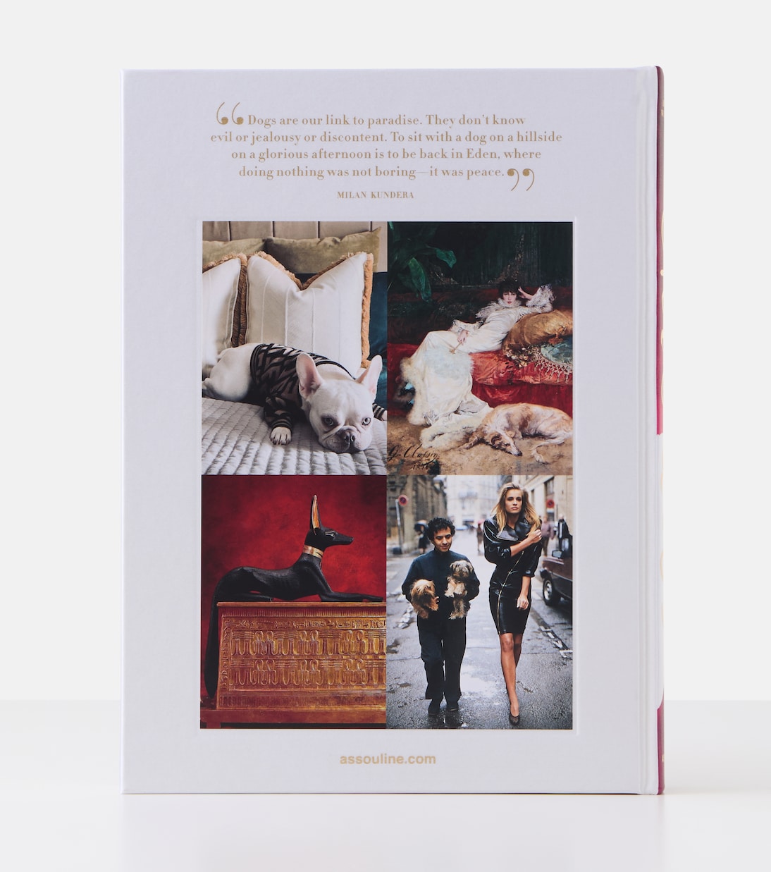 Chic Dogs book | Assouline