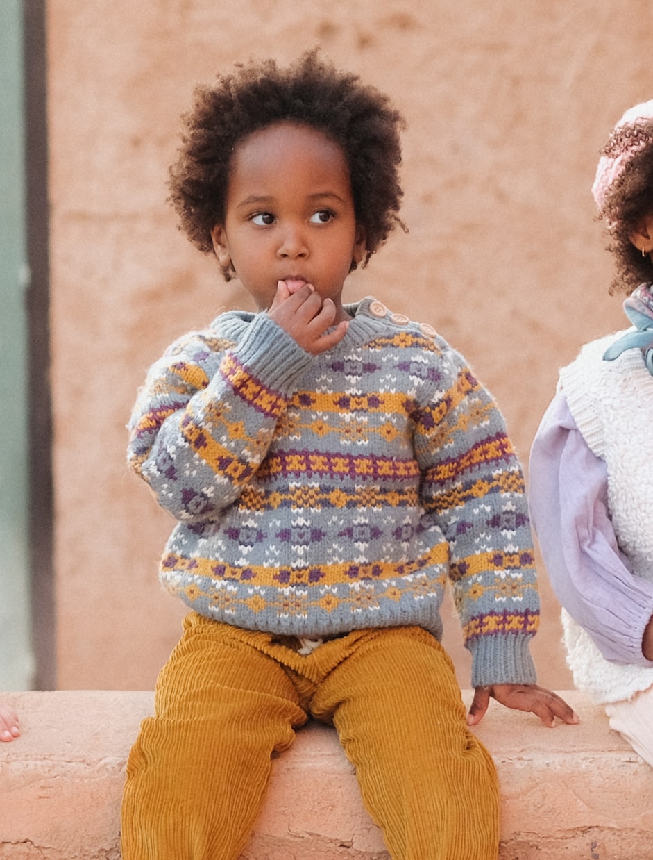 Lounis jacquard sweater  | Louise Misha