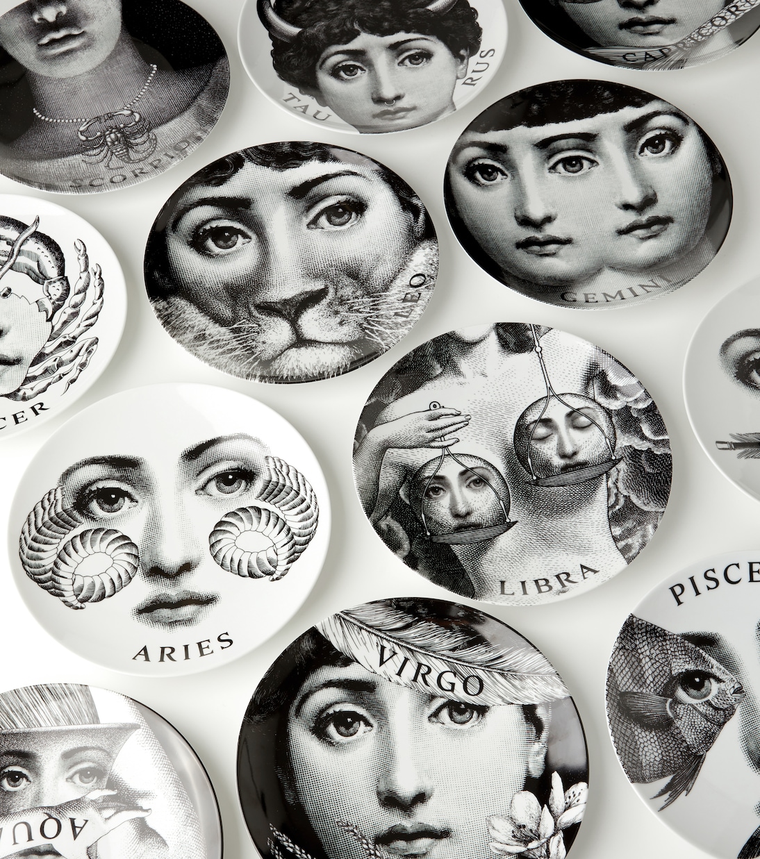 Wandteller Tema e Variazioni Nr. 352 Leo | Fornasetti