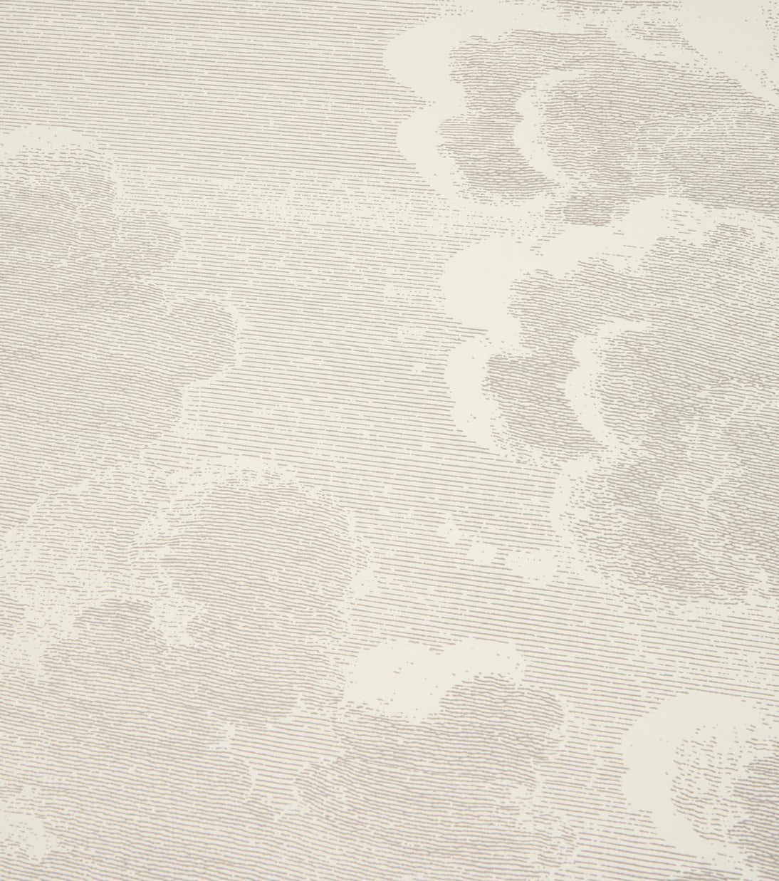 x Cole & Son papel pintado Nuvolette | Fornasetti