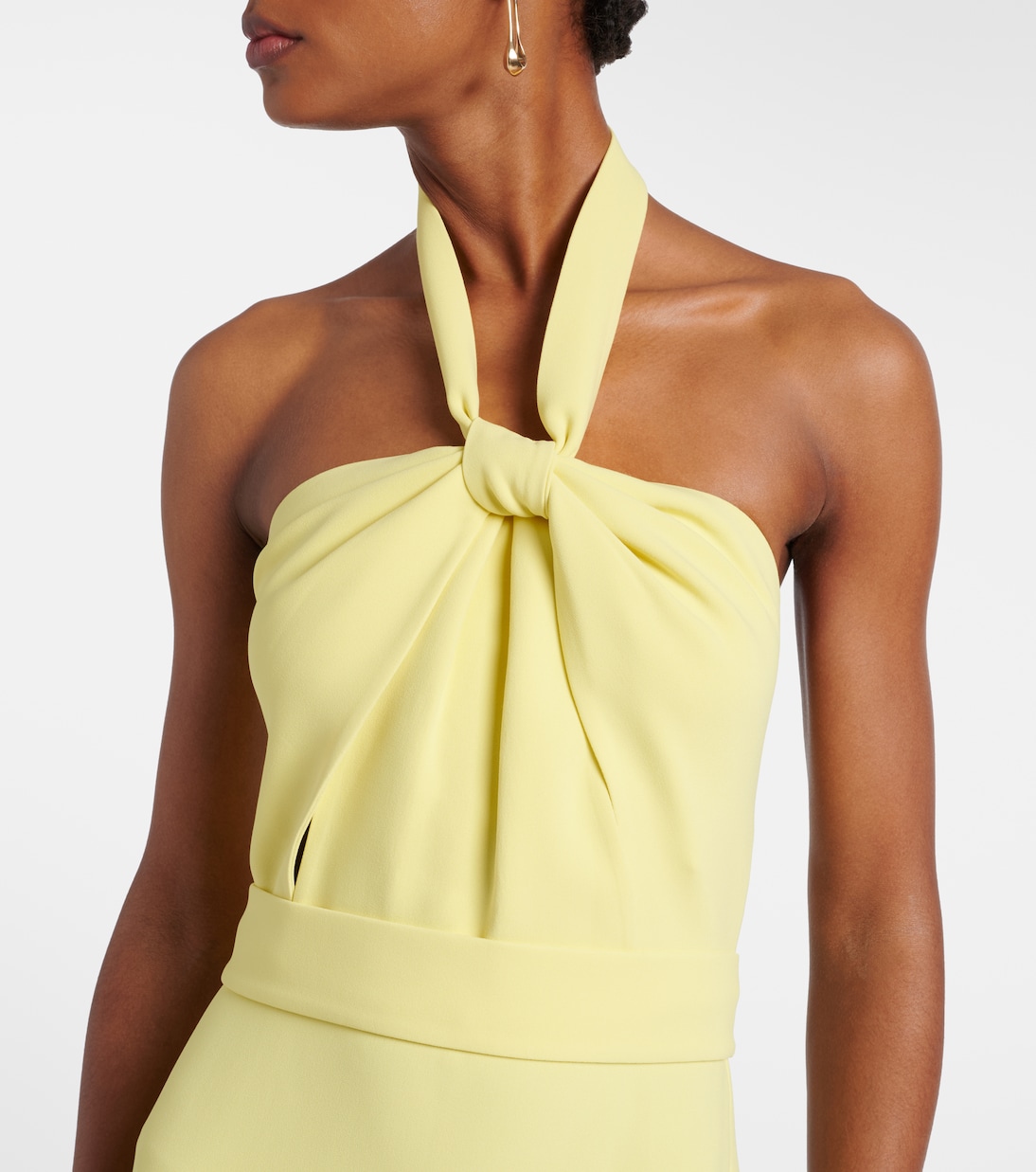 Halterneck cady gown | Elie Saab